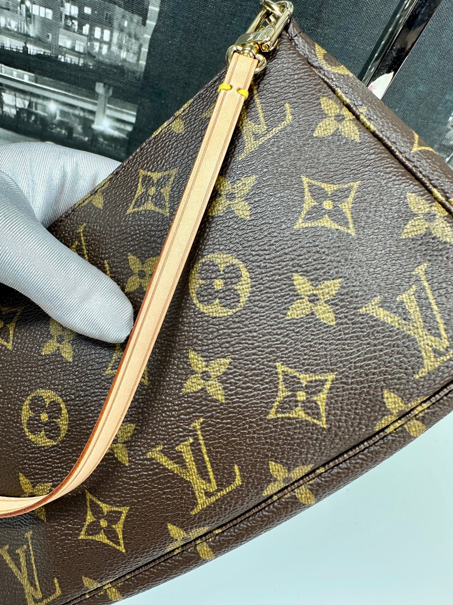 Pochette Accessories Monogram Older Model