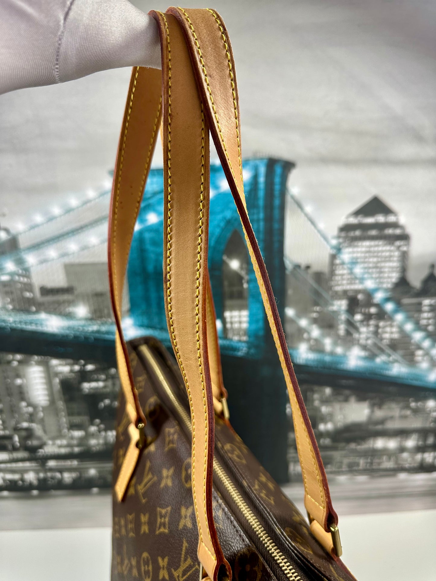 Cabas Mezzo Zip Tote