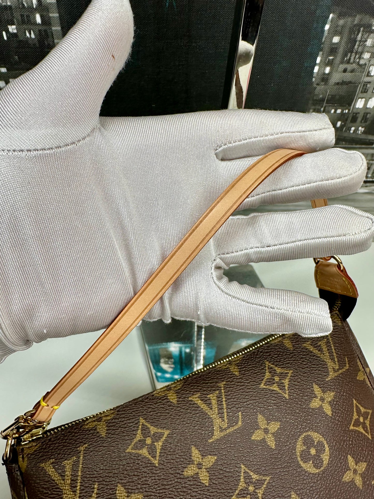 Pochette Accessories Monogram Older Model