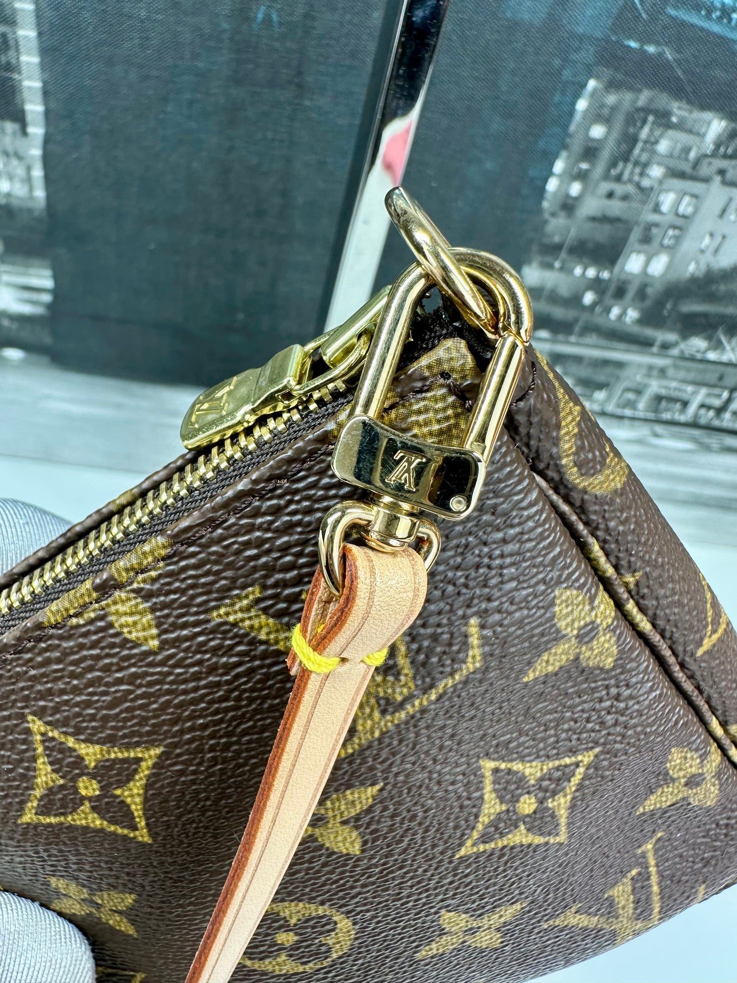 Pochette Accessories Monogram Older Model