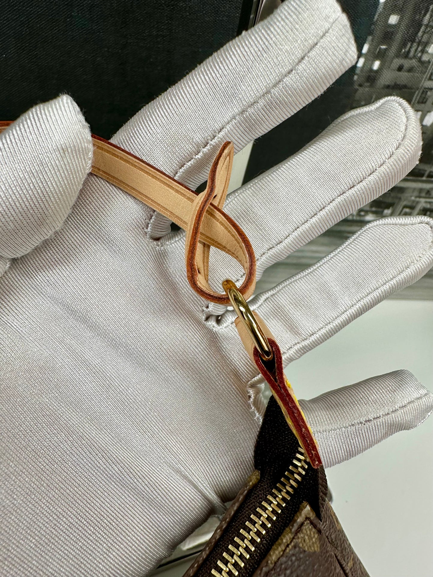 Pochette Accessories Monogram Older Model