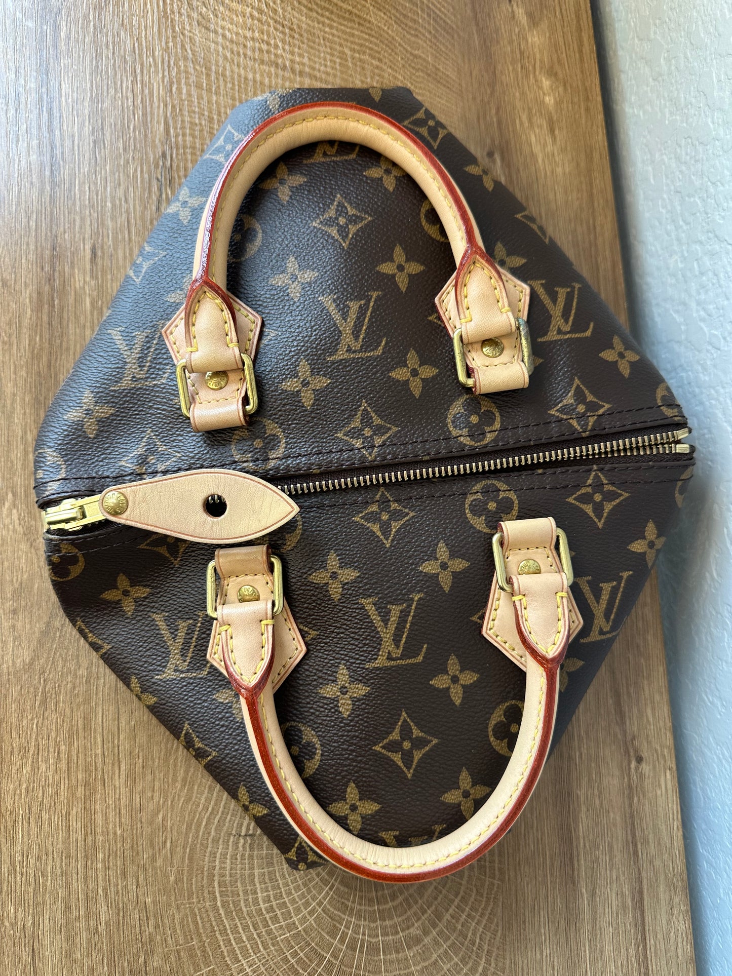 Speedy 25 Classic Monogram