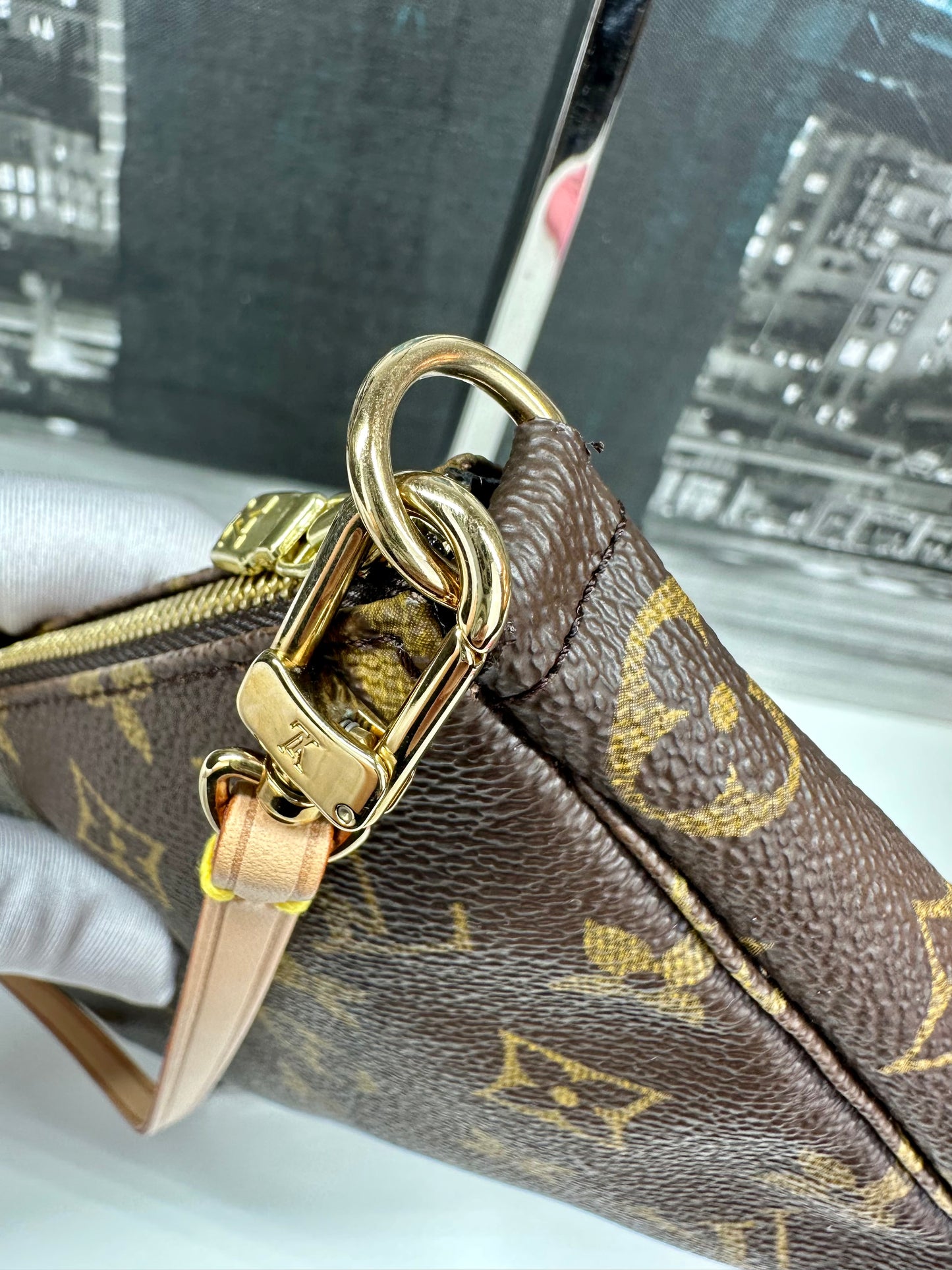Pochette Accessories Monogram Older Model