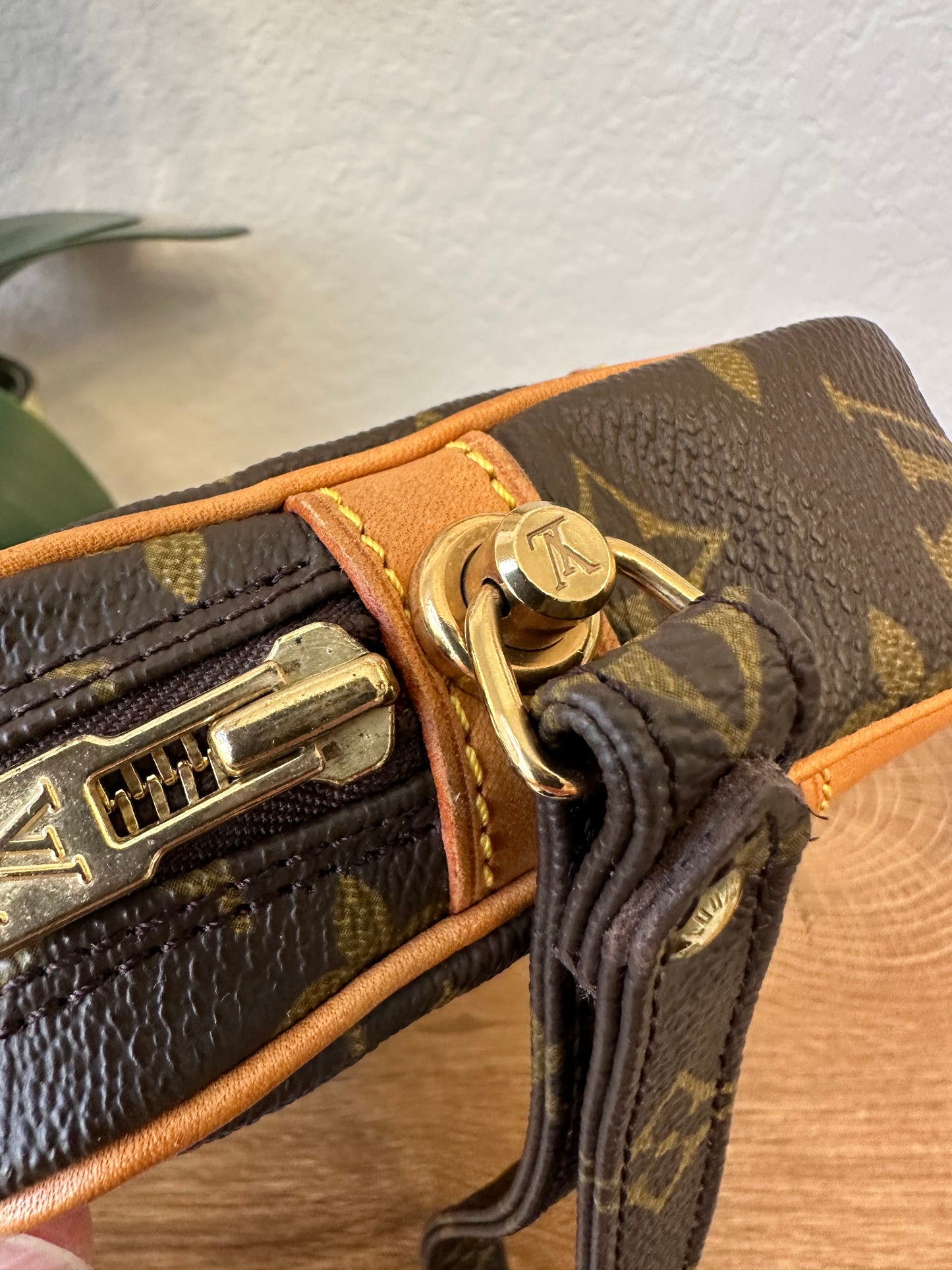 Marly Dragonne PM Wristlet
