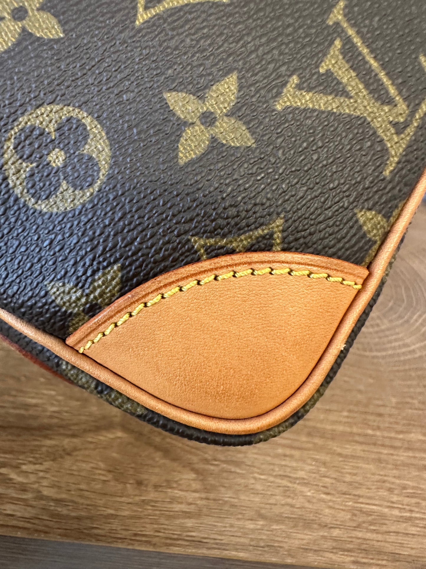 Marly Dragonne PM Wristlet