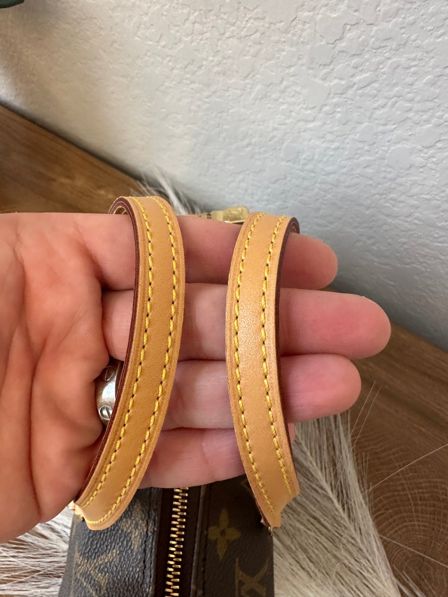 Papillon 19 - Hard to find size
