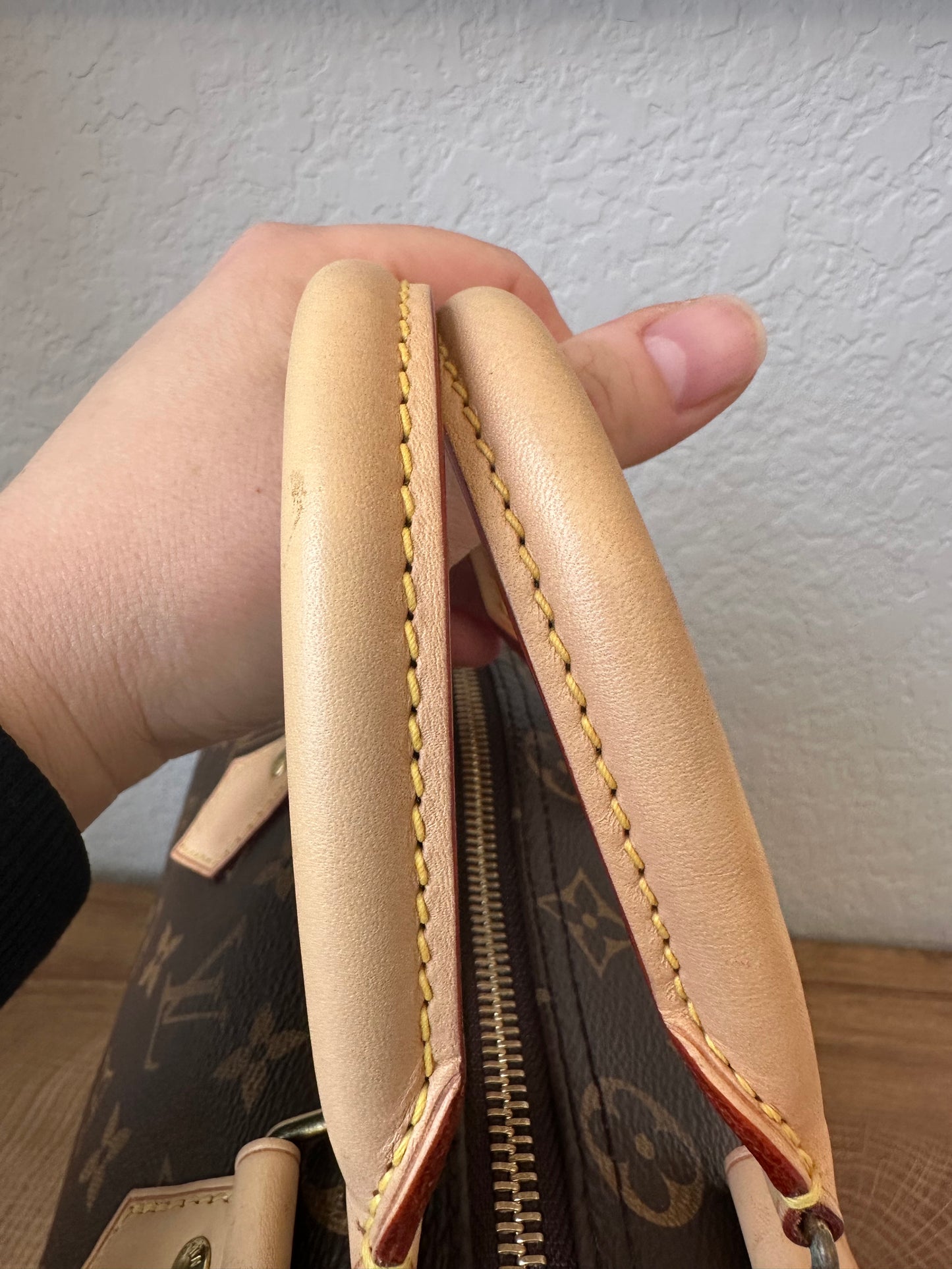 Speedy 25 Classic Monogram