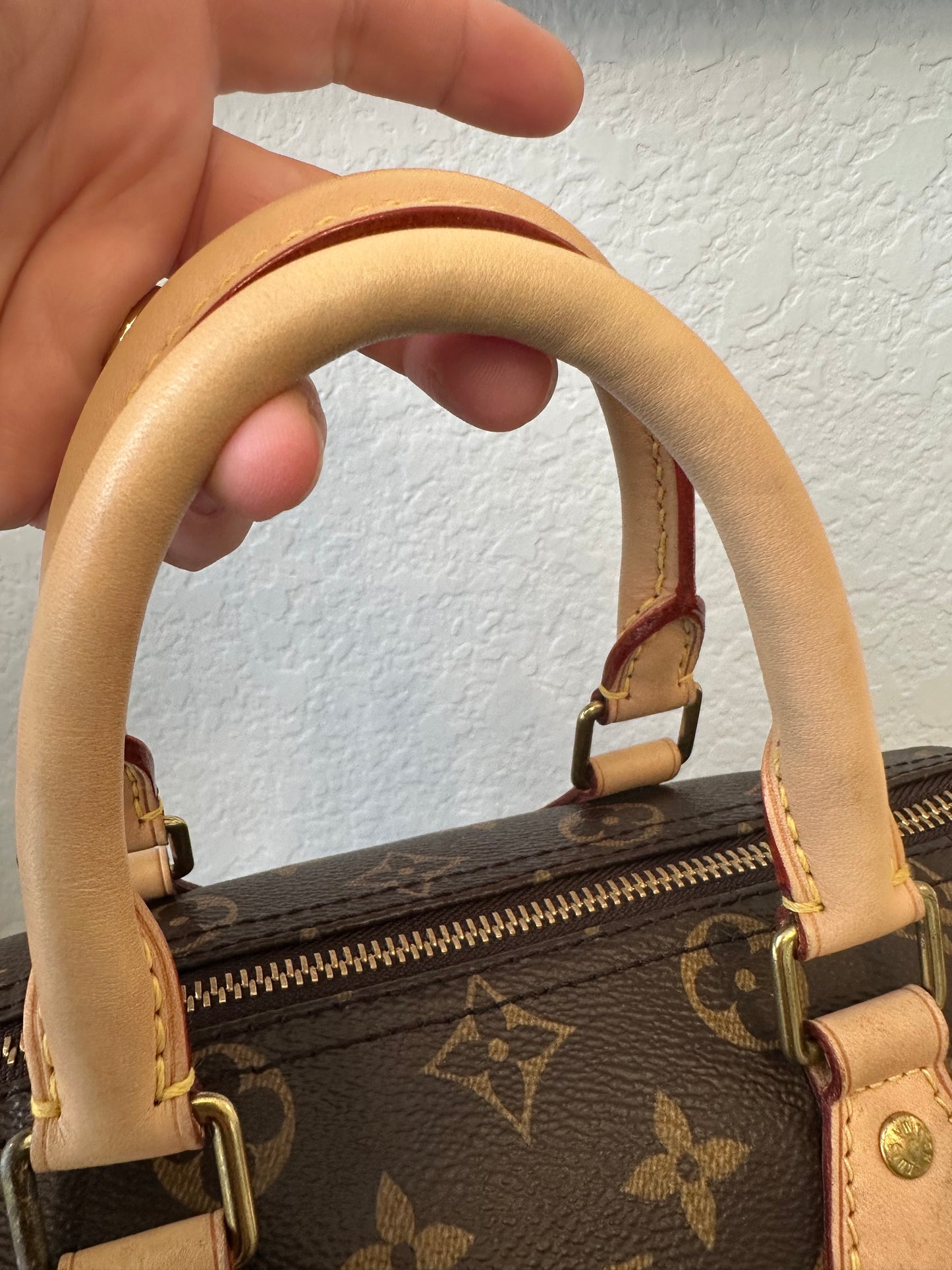 Speedy 25 Classic Monogram