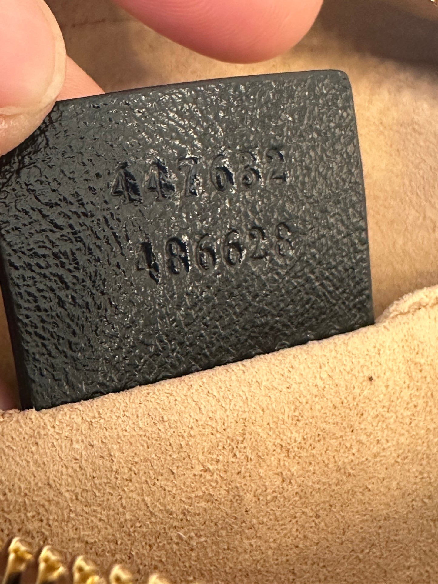 Gucci Camera Canvas & Leather Bag