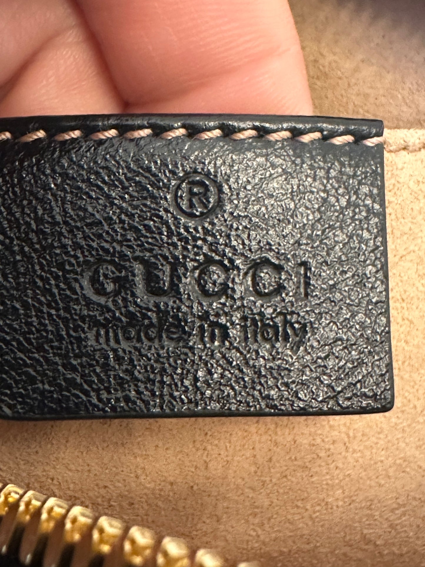 Gucci Camera Canvas & Leather Bag