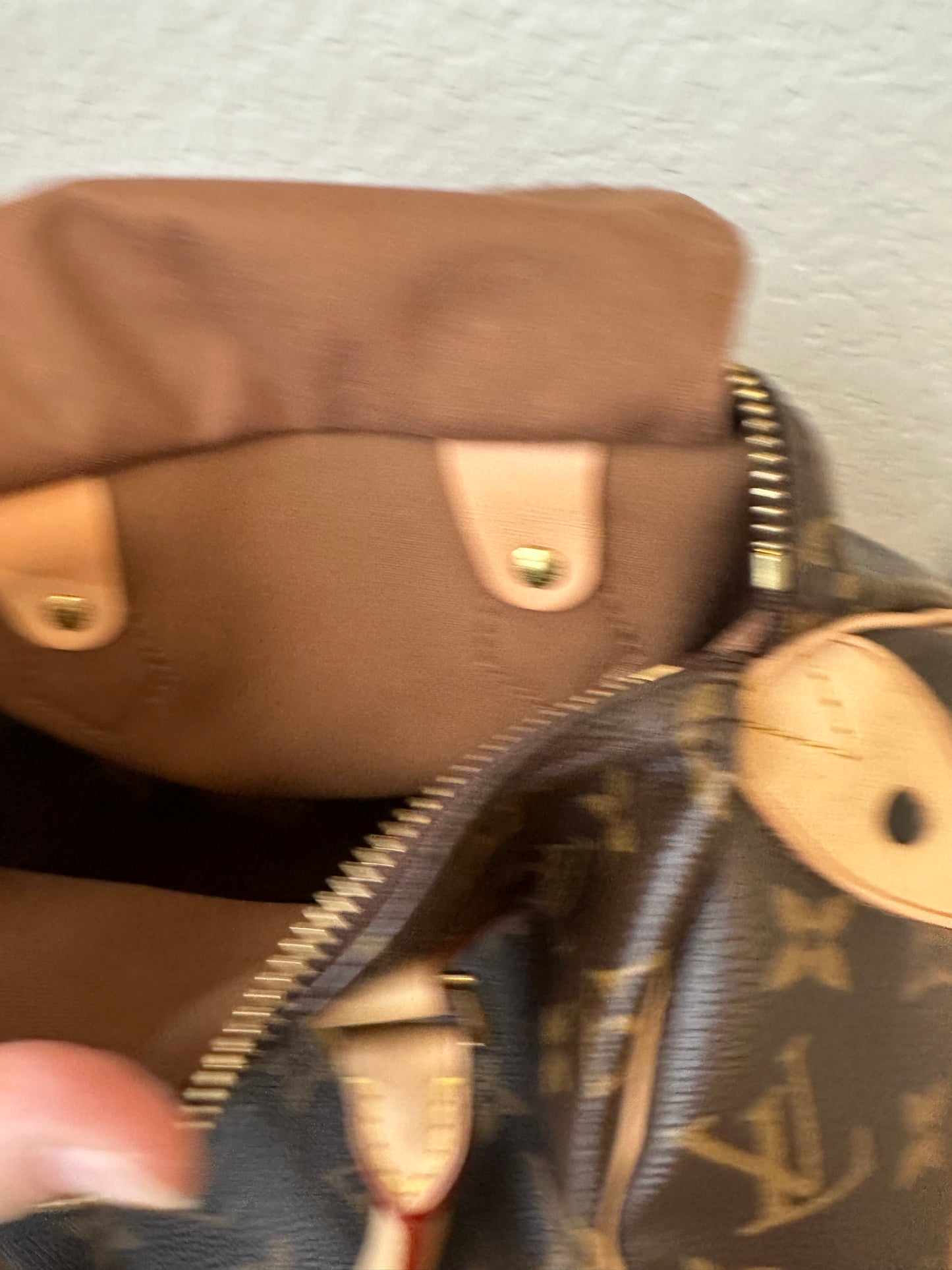 Speedy 25 Classic Monogram