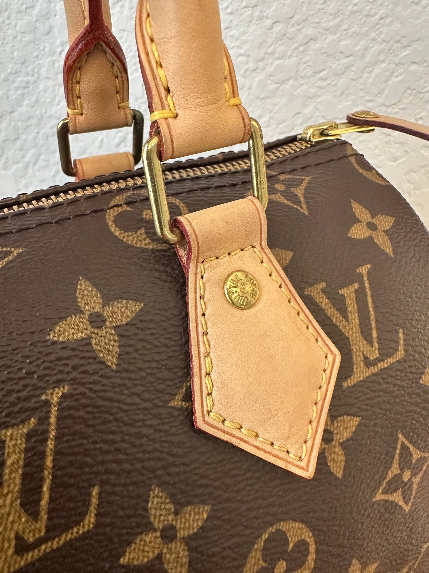 Speedy 25 Classic Monogram