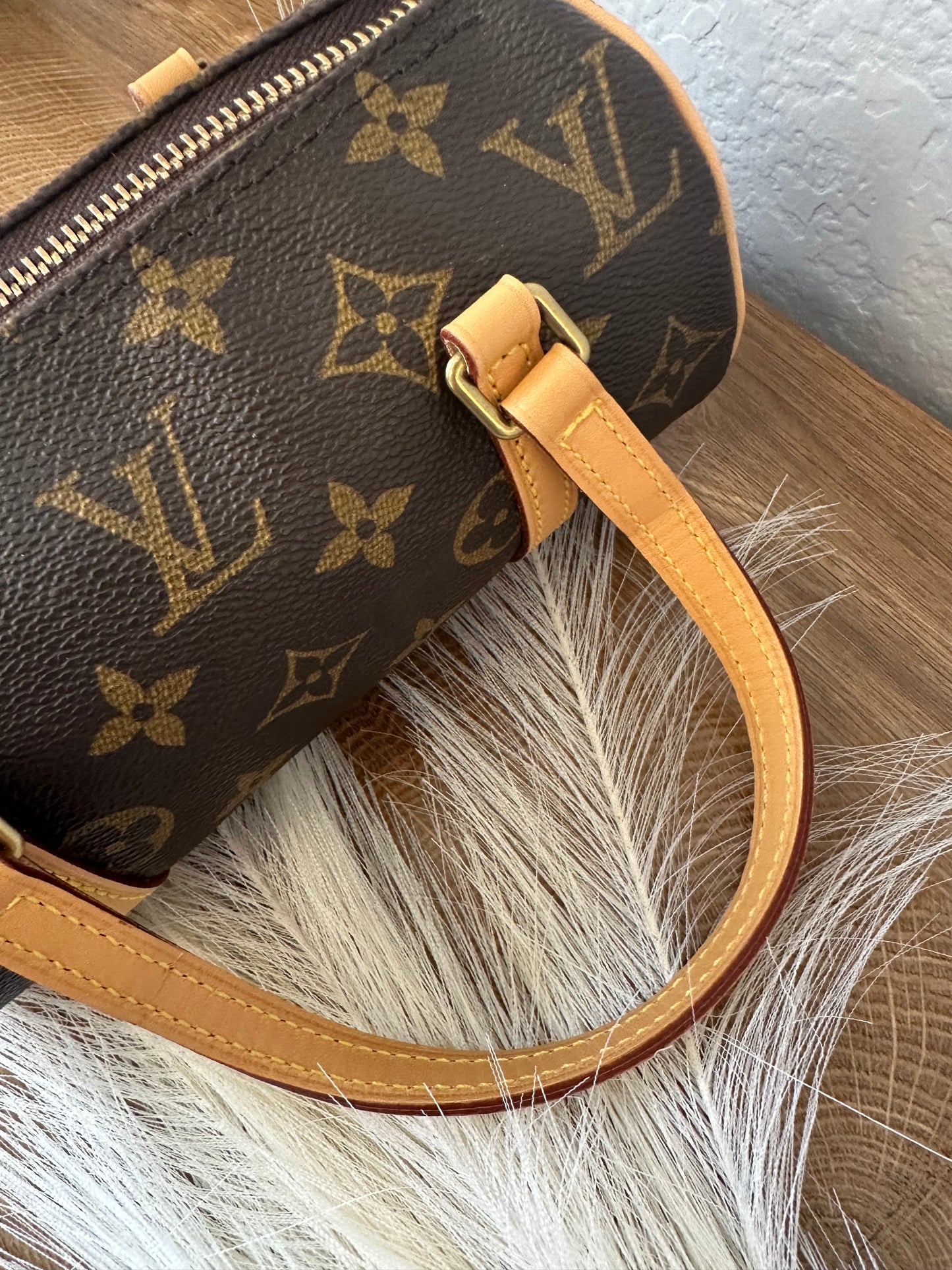 Papillon 19 - Hard to find size