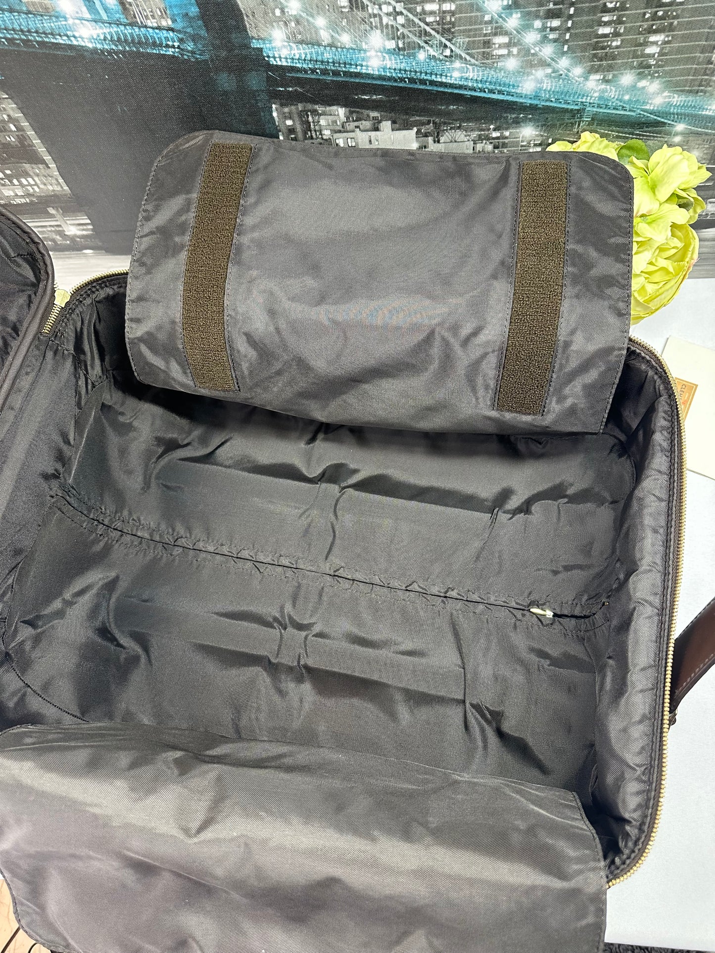 Pegase 45 Damier Ebene Luggage