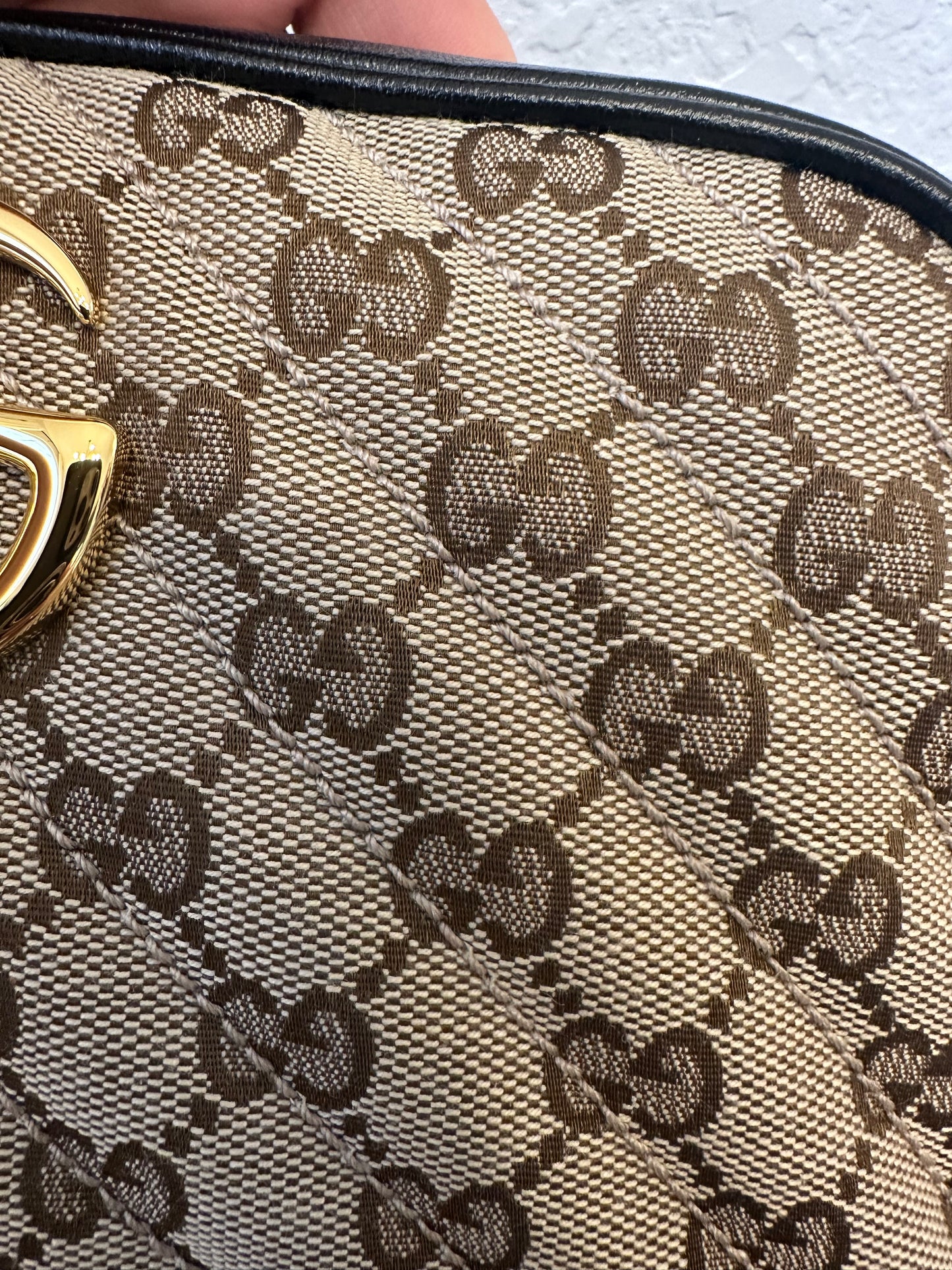 Gucci Camera Canvas & Leather Bag
