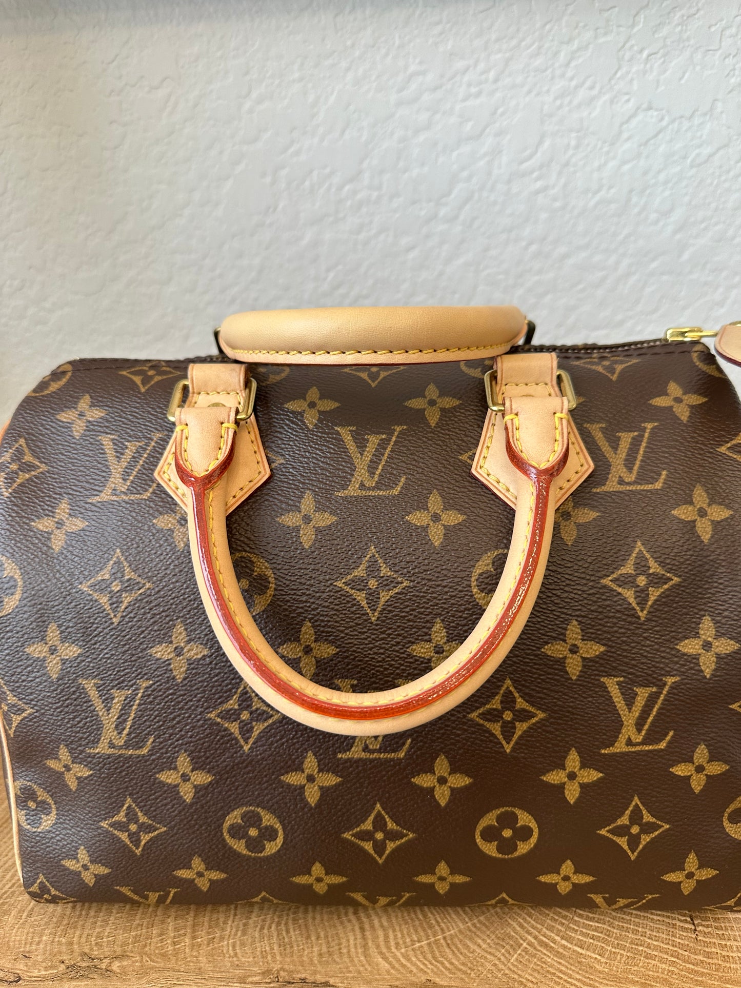 Speedy 25 Classic Monogram