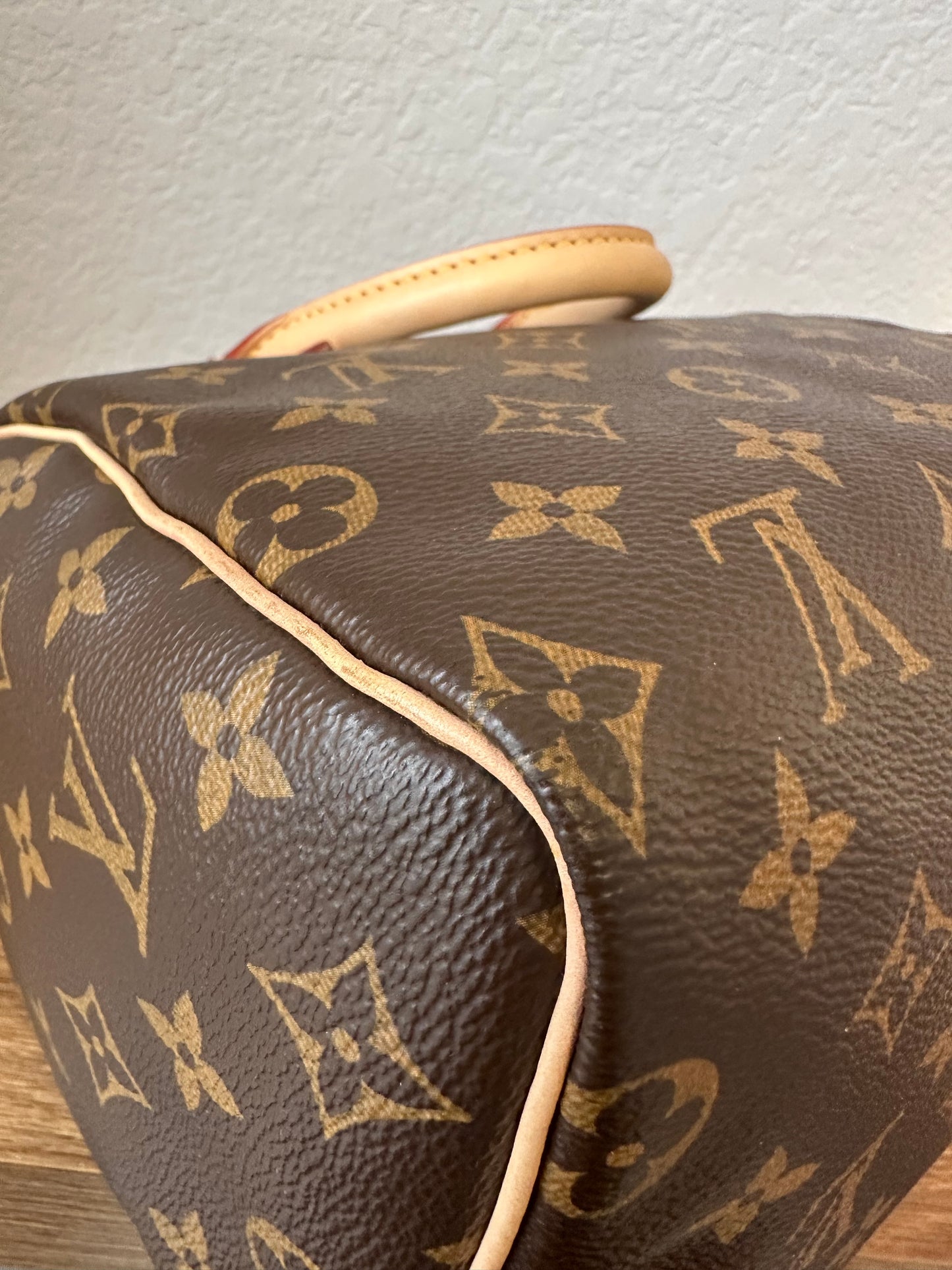 Speedy 25 Classic Monogram