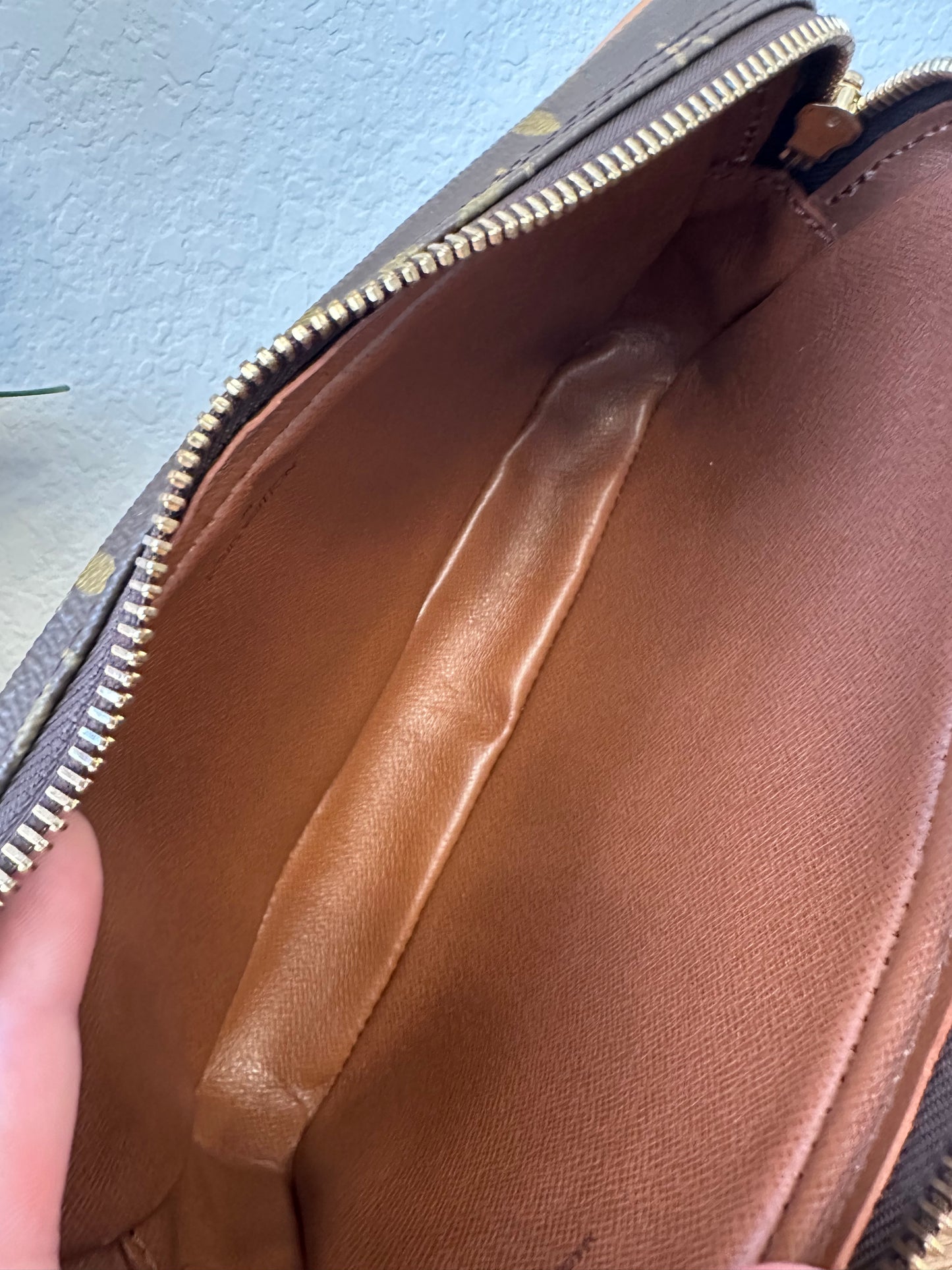 Marly Dragonne PM Wristlet
