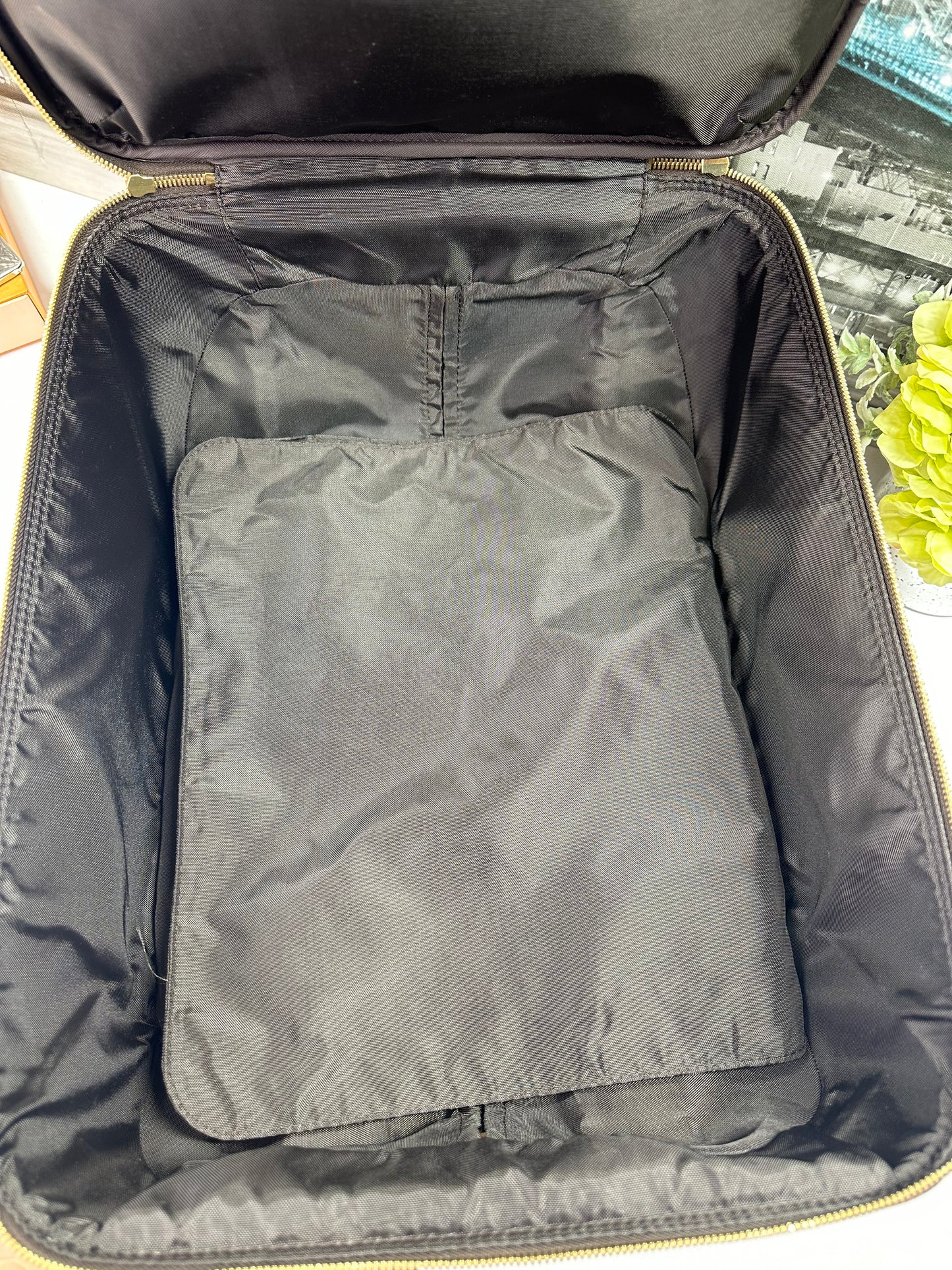 Pegase 45 Damier Ebene Luggage