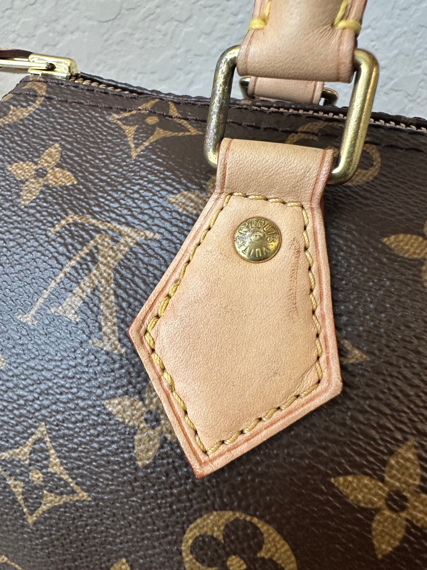 Speedy 25 Classic Monogram