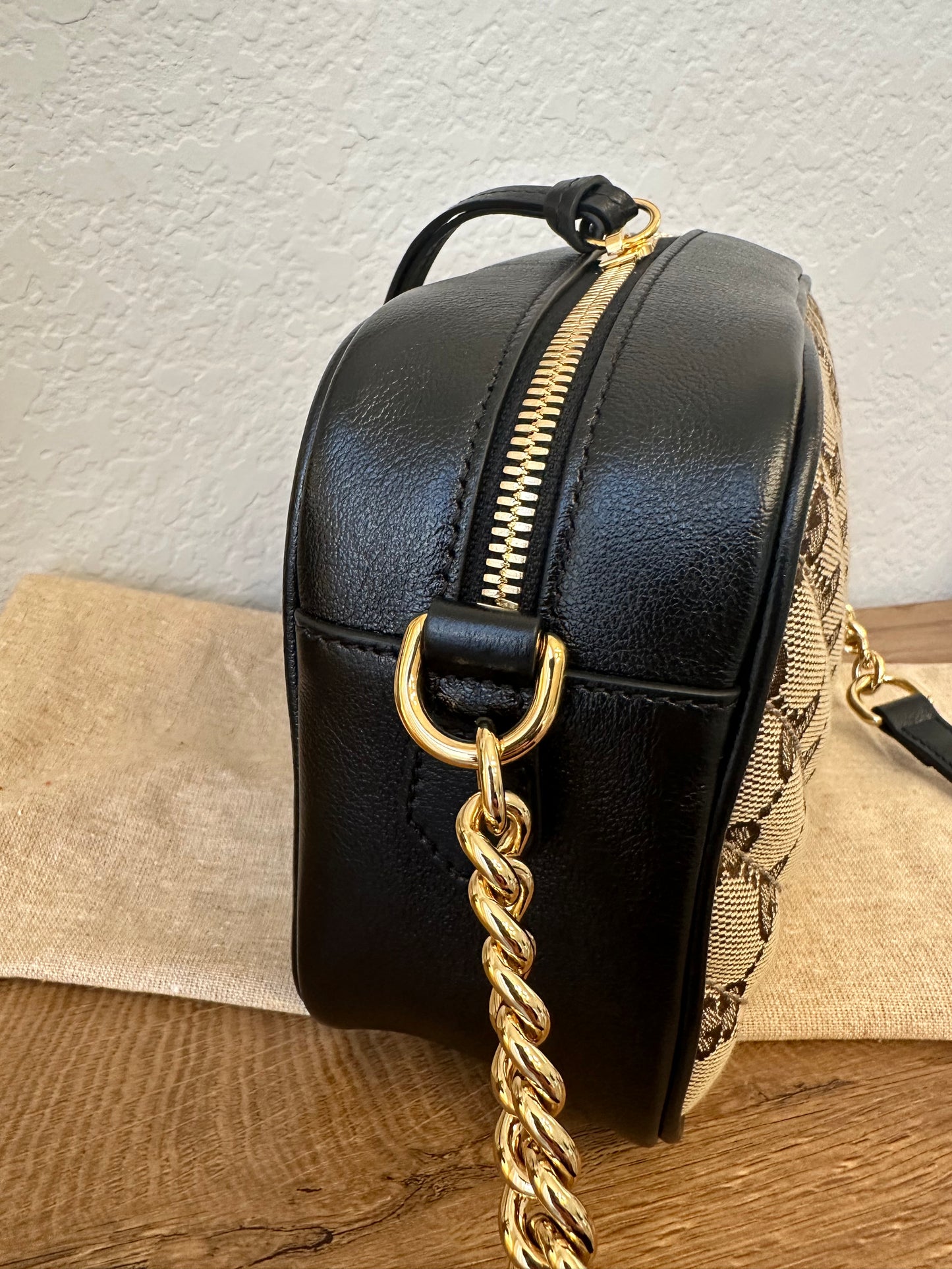 Gucci Camera Canvas & Leather Bag