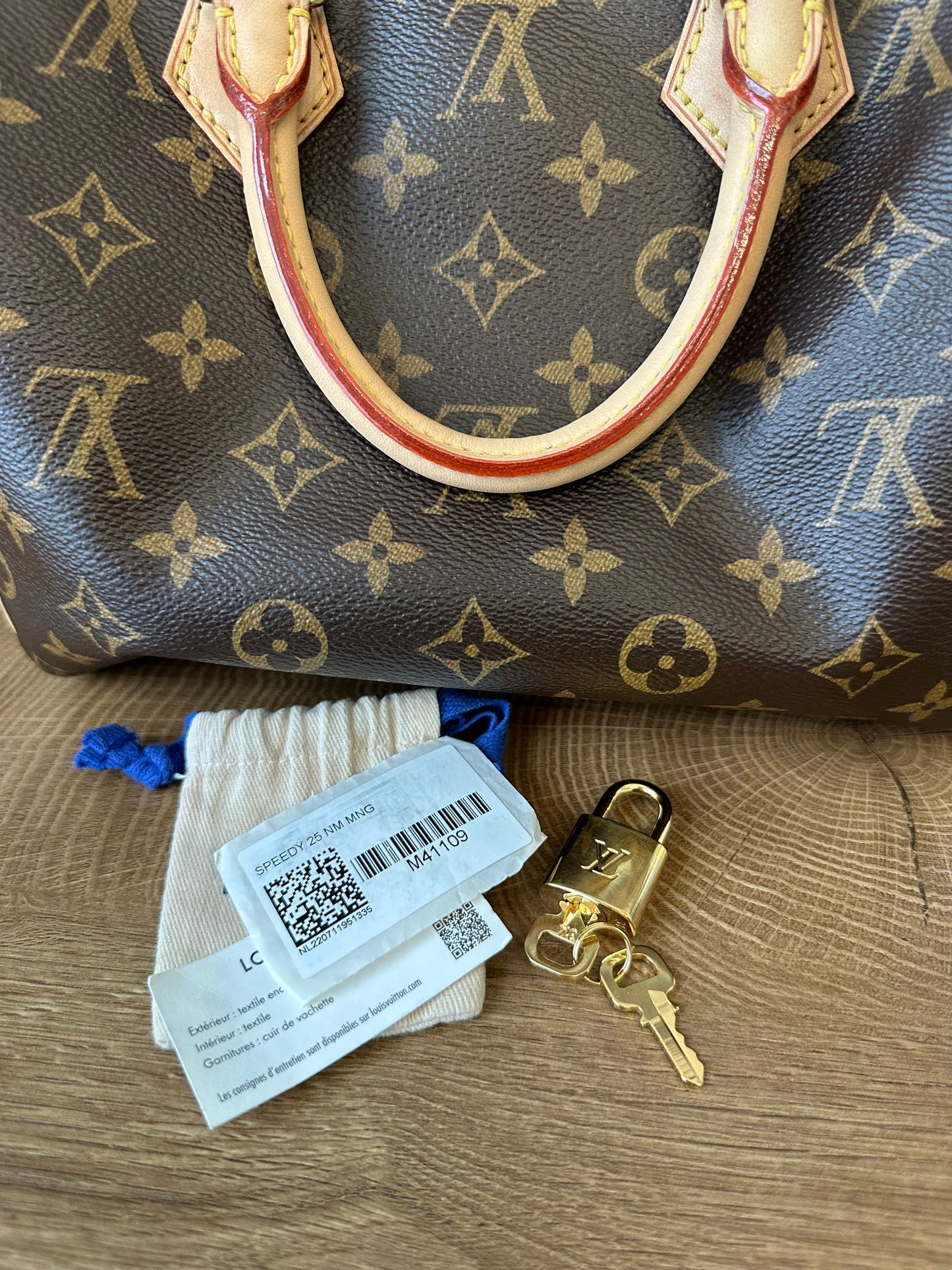 Speedy 25 Classic Monogram