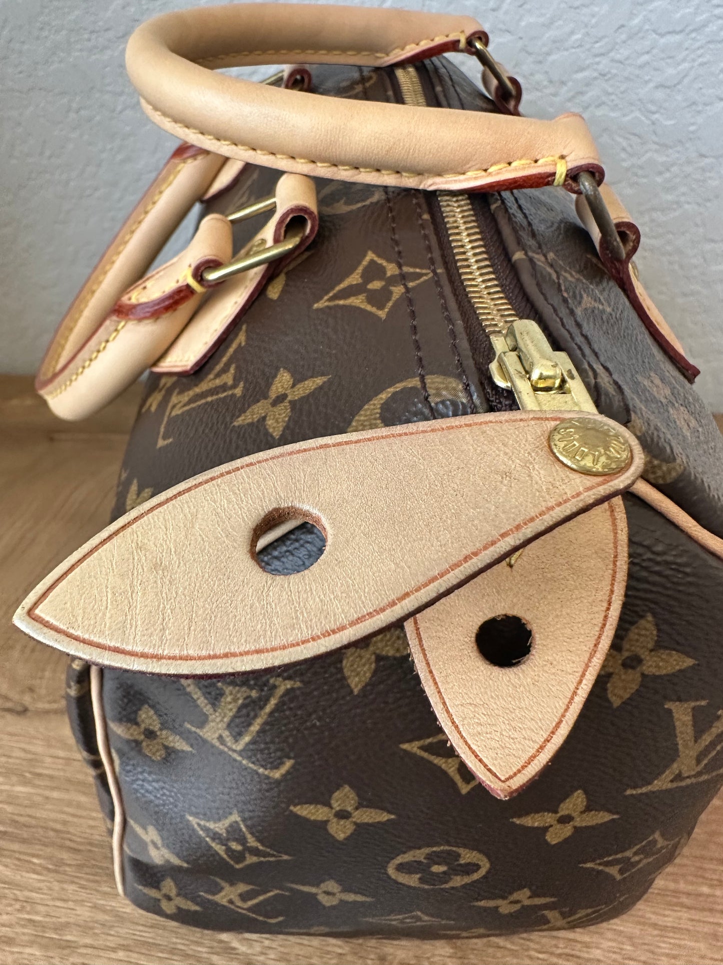 Speedy 25 Classic Monogram