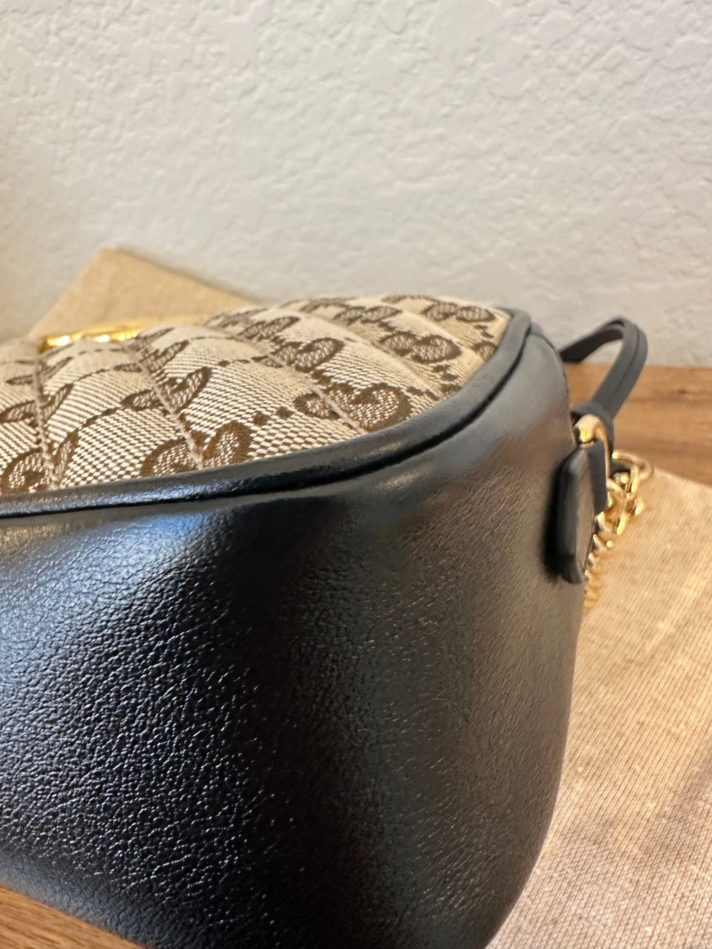 Gucci Camera Canvas & Leather Bag