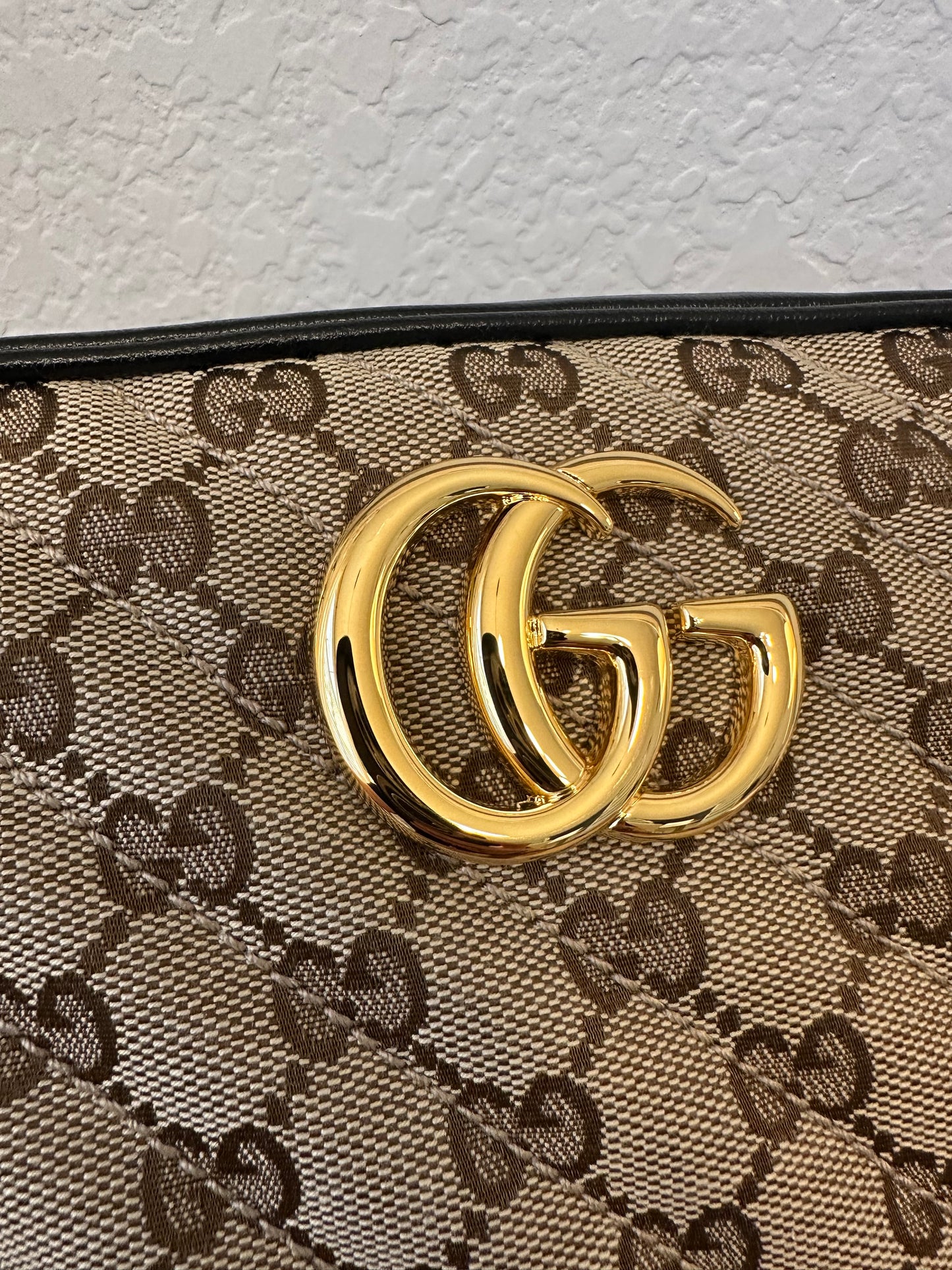 Gucci Camera Canvas & Leather Bag