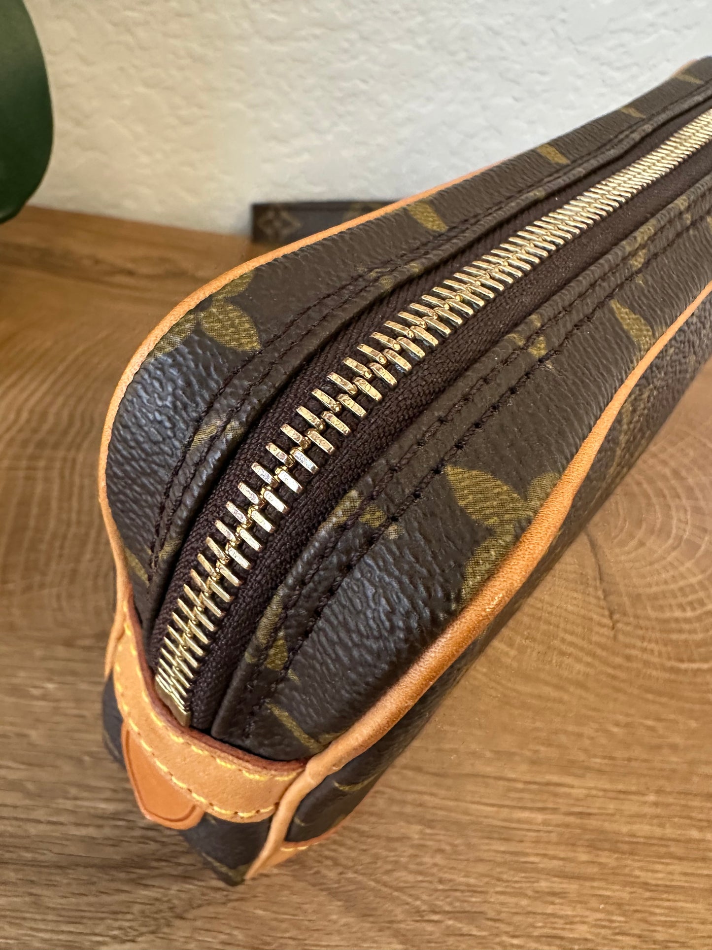 Marly Dragonne PM Wristlet