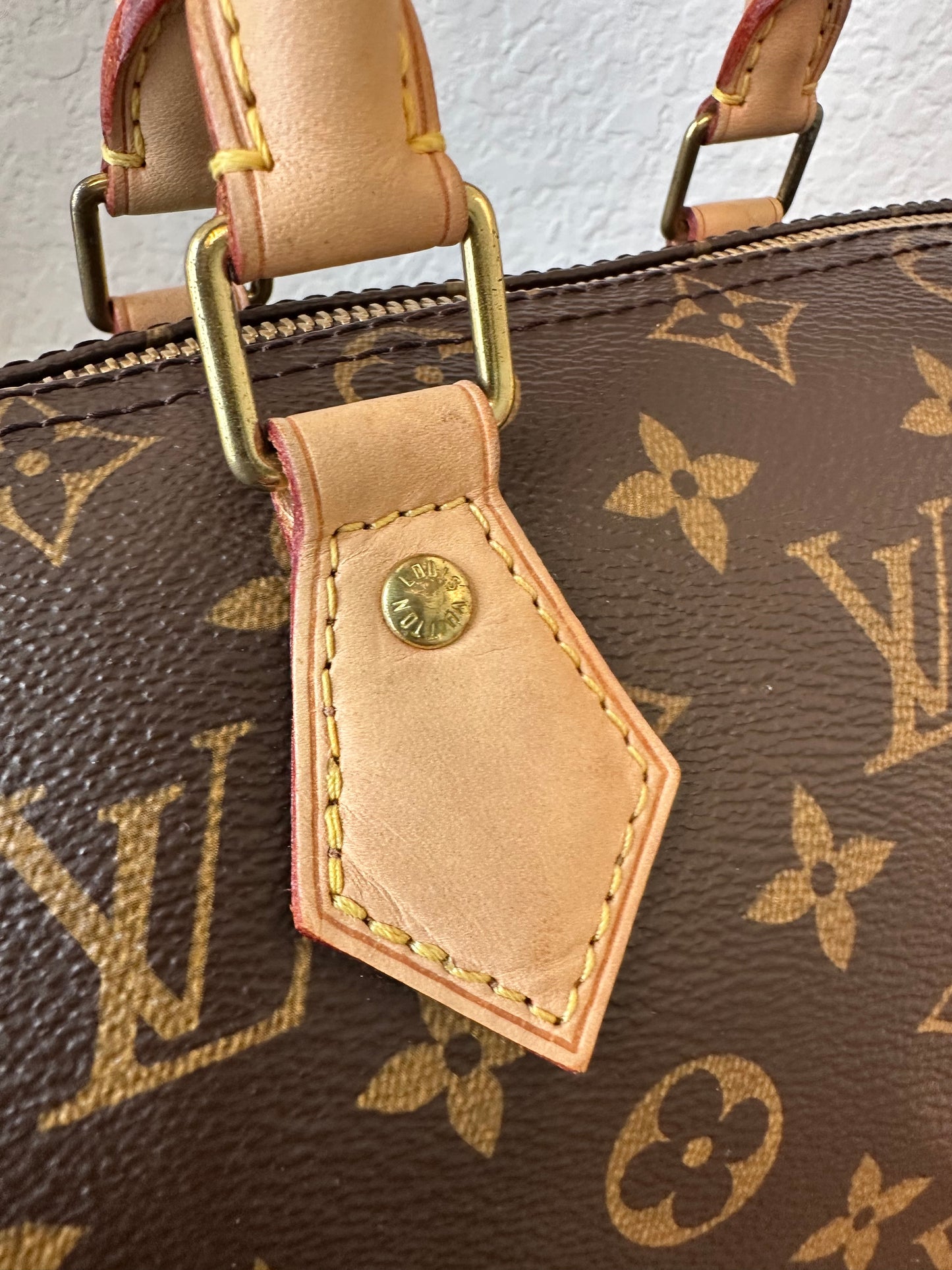 Speedy 25 Classic Monogram