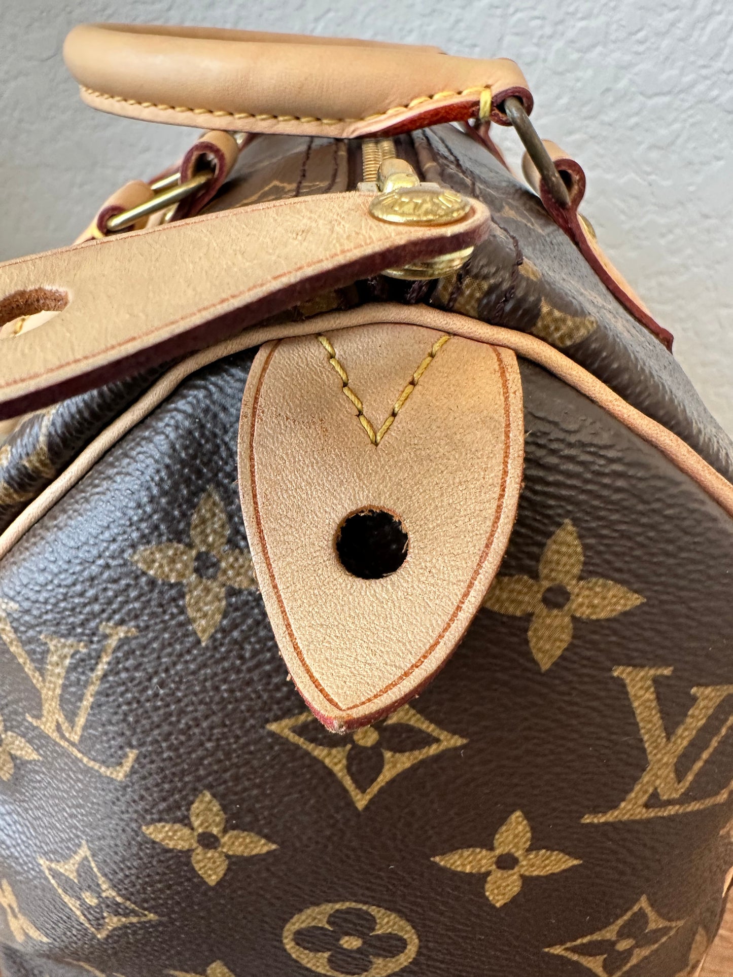 Speedy 25 Classic Monogram