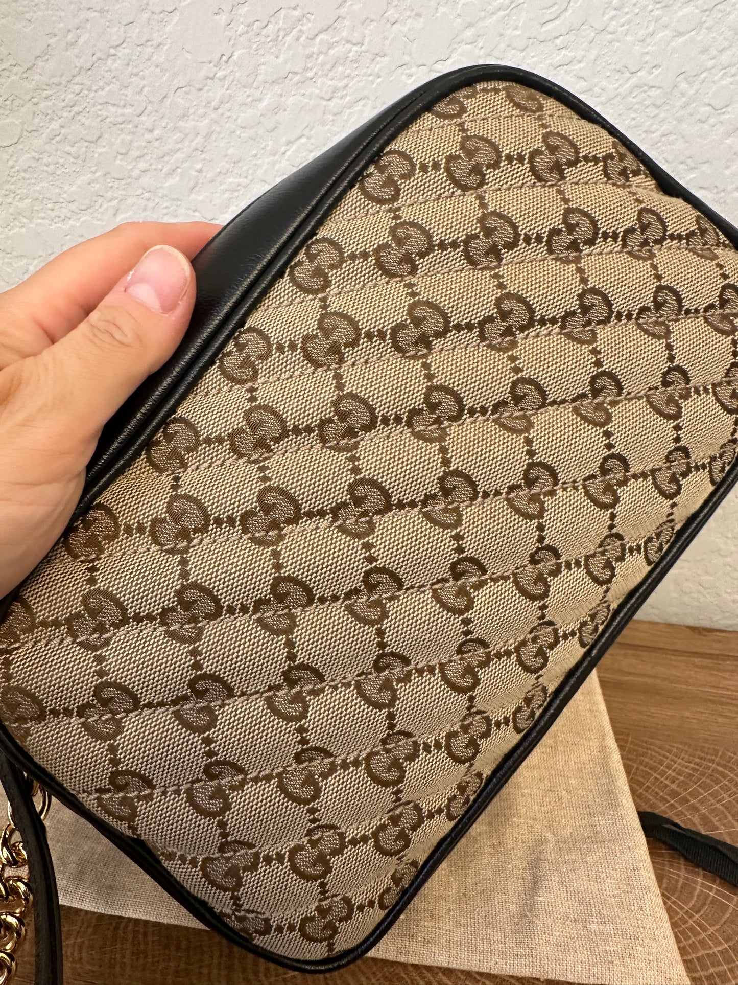 Gucci Camera Canvas & Leather Bag