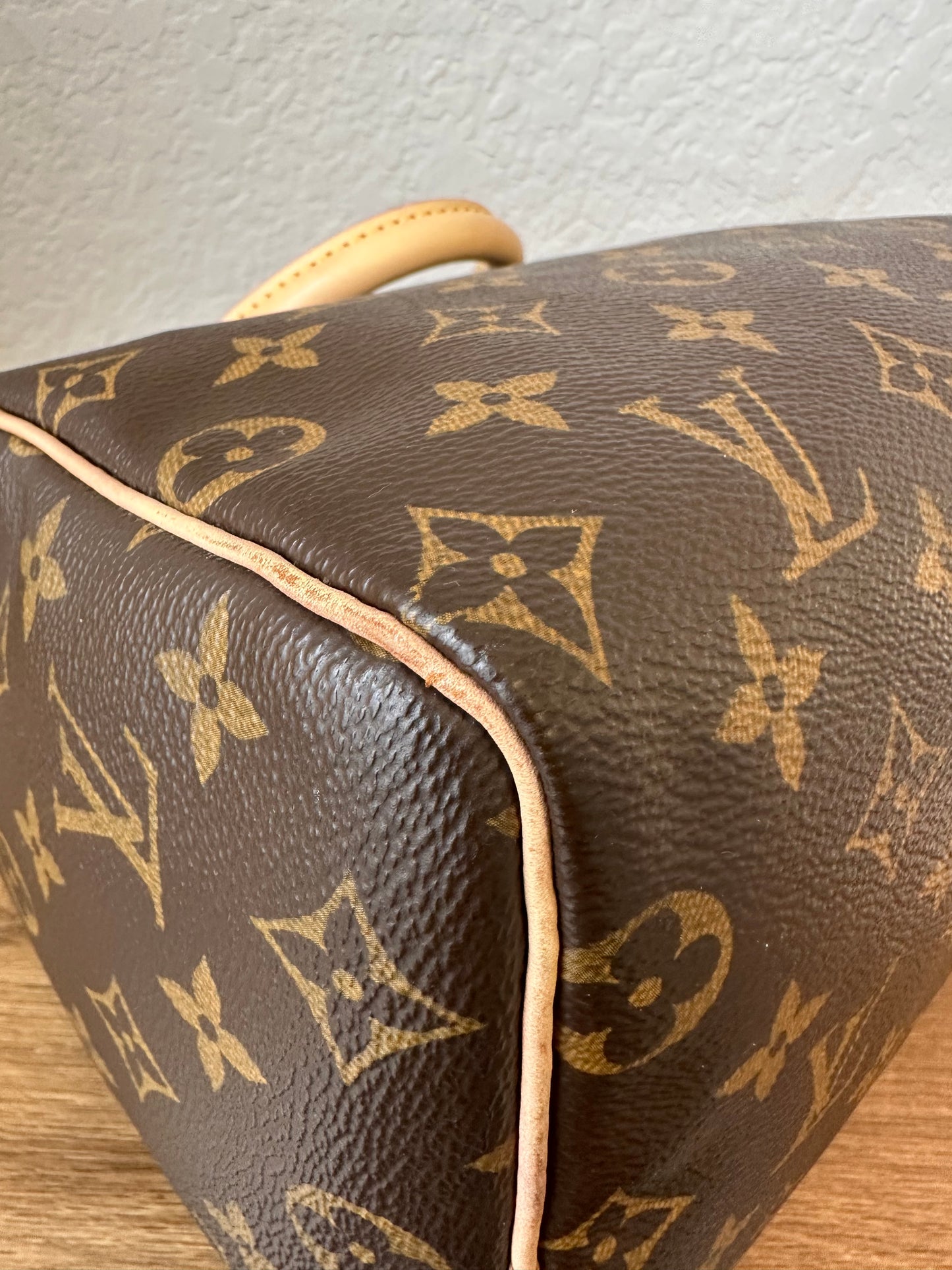 Speedy 25 Classic Monogram