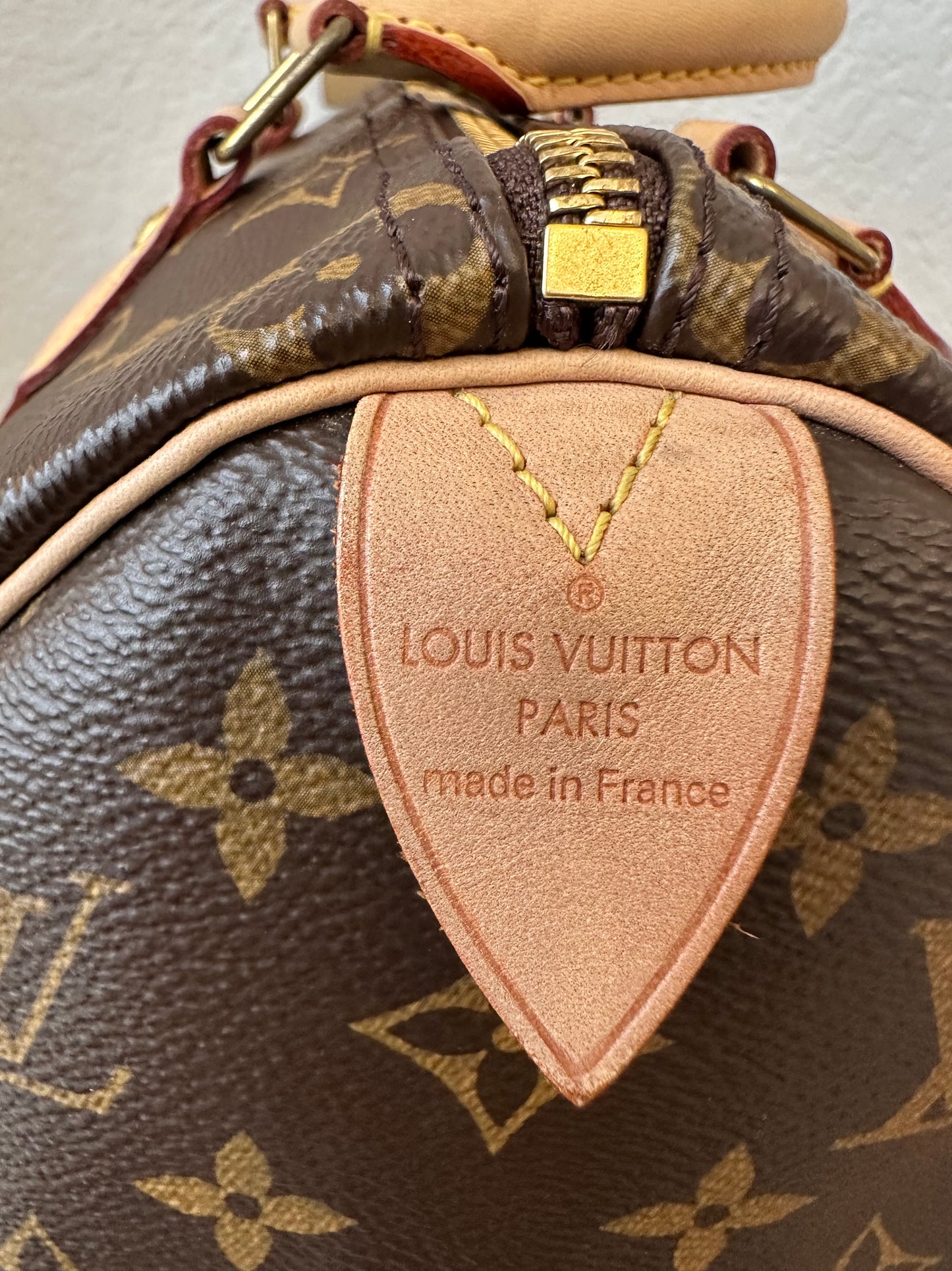 Speedy 25 Classic Monogram
